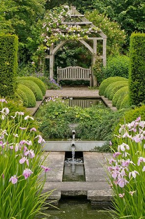 Waterscapes - Flower You Photo