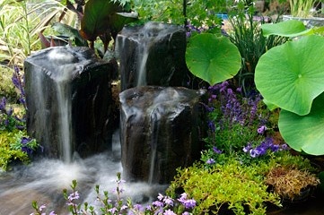 Waterscapes - Put's Ponds & Gardens
