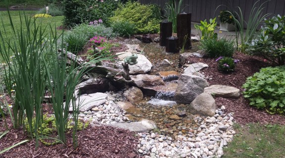 Water Feature